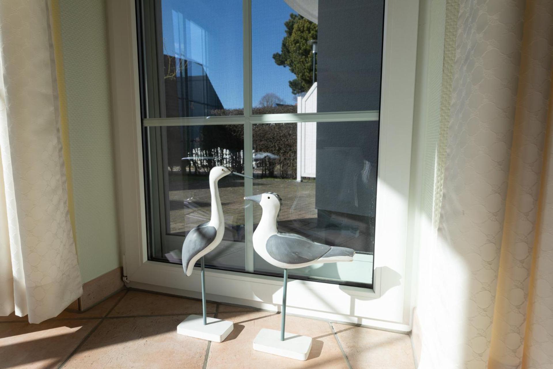 Eden 02 Appartement Zingst Buitenkant foto